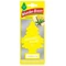 wunderbaum_vanilia